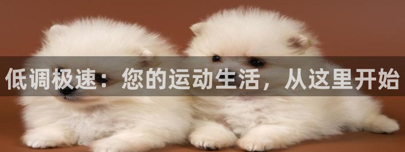 cba绿茵直播：低调极速：您的运动生活，从这里开始