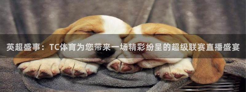 绿茵直播免费观看nba：英超盛事：TC体育为您带来一场精彩纷呈的超级联赛直播盛宴