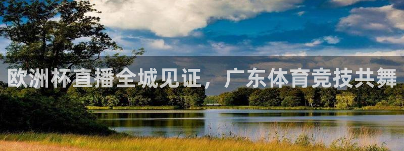 绿茵直播cba：欧洲杯直播全城见证，广东体育竞技共舞