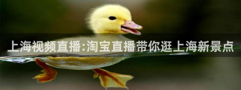 9939绿茵直播体育：上海视频直播:淘宝直播带你逛上海新景点