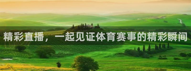 绿茵直播中超：精彩直播，一起见证体育赛事的精彩瞬间