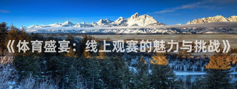 绿茵直播nba免费观看：《体育盛宴：线上观赛的魅力与挑战》