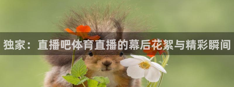 nba绿茵直播：独家：直播吧体育直播的幕后花絮与精彩瞬间