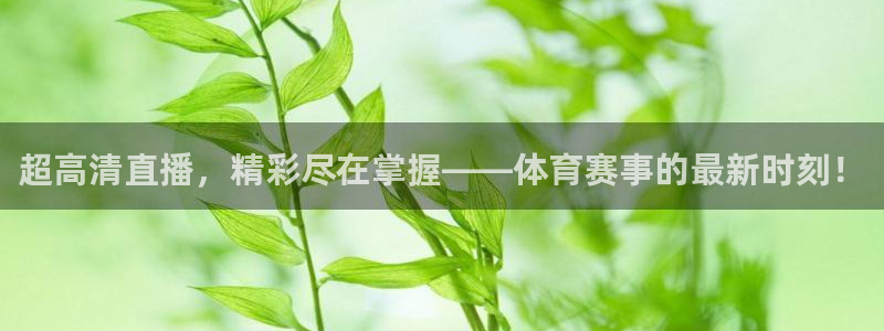 绿茵直播下载：超高清直播，精彩尽在掌握——体育赛事的最新时刻！