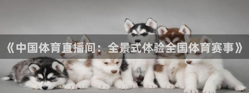 nba绿茵直播官网：《中国体育直播间：全景式体验全国体育赛事》