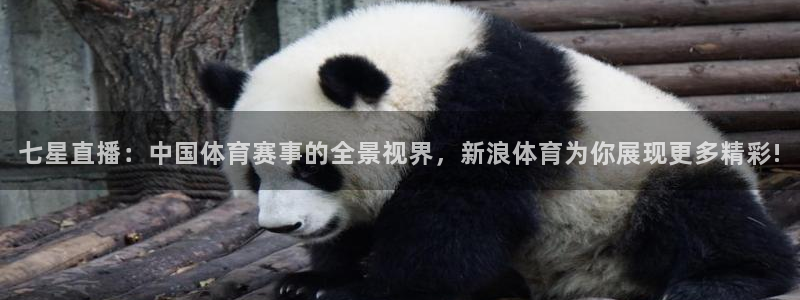 绿茵直播nba免费nba：七星直播：中国体育赛事的全景视界，新浪体育为你展现更多精彩!
