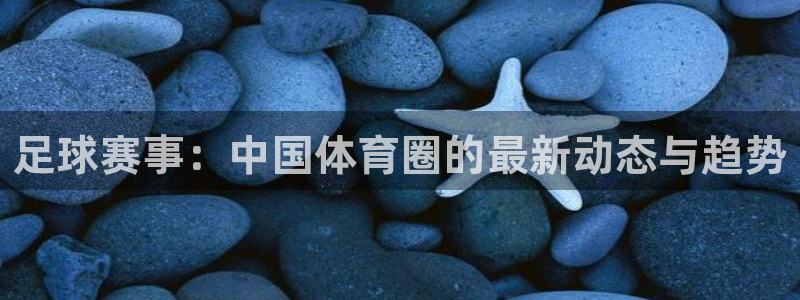 绿茵直播nba免费观看高清：足球赛事：中国体育圈的最新动态与趋势