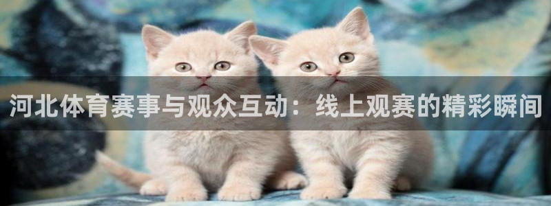 绿茵直播nba免费：河北体育赛事与观众互动：线上观赛的精彩瞬间