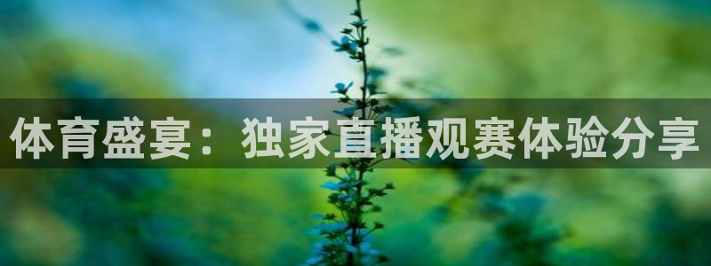 绿茵直播cba：体育盛宴：独家直播观赛体验分享