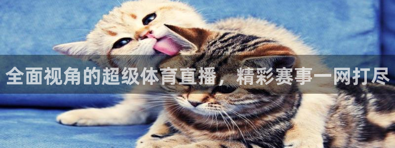 绿茵直播足球比赛在线观看：全面视角的超级体育直播，精彩赛事一网打尽