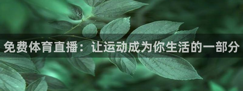 绿茵直播官网入口有吗：免费体育直播：让运动成为你生活的一部分