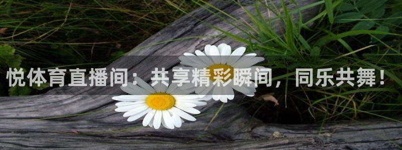 nba绿茵直播在线观看高清免费视频：悦体育直播间：共享精彩瞬间，同乐共舞！