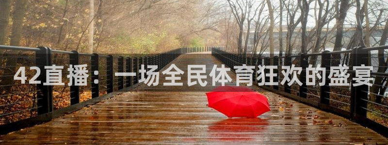 绿茵直播cba免费观看：42直播：一场全民体育狂欢的盛宴