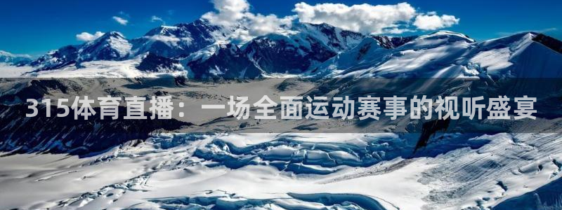 绿茵直播足球比赛在线观看：315体育直播：一场全面运动赛事的视听盛宴