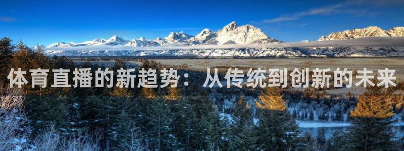 绿茵直播世界杯：体育直播的新趋势：从传统到创新的未来