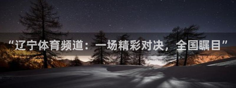 nba绿茵直播在线观看高清免费视频：“辽宁体育频道：一场精彩对决，全国瞩目”